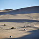 Image for article titled 2022 Rebelle Rally Stage Six: A Long Day and A Long Path to the Dunes of Glamis